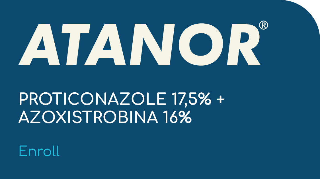 ATANOR  |  PROTICONAZOLE 17,5% + AZOXISTROBINA 16%  |  (Enroll)