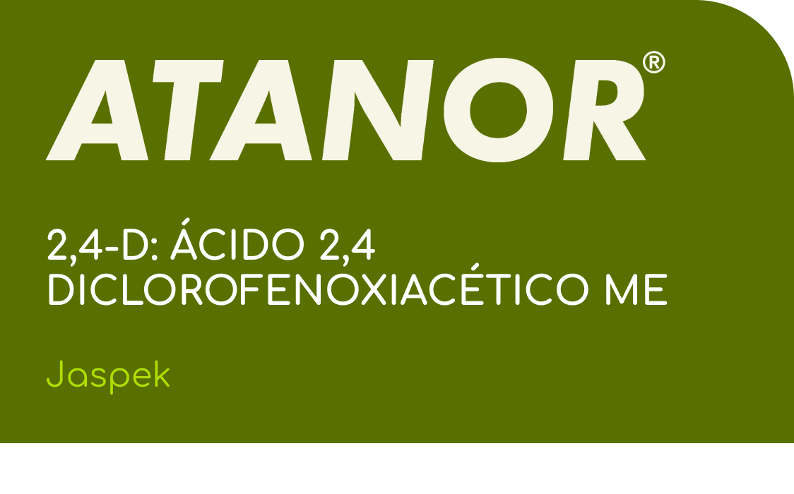 ATANOR  |  2,4-D: ÁCIDO 2,4 DICLOROFENOXIACÉTICO ME  |  (Jaspek)