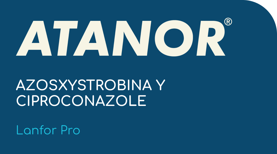 ATANOR | AZOSXYSTROBINA Y CIPROCONAZOLE  |  (Lanfor Pro)