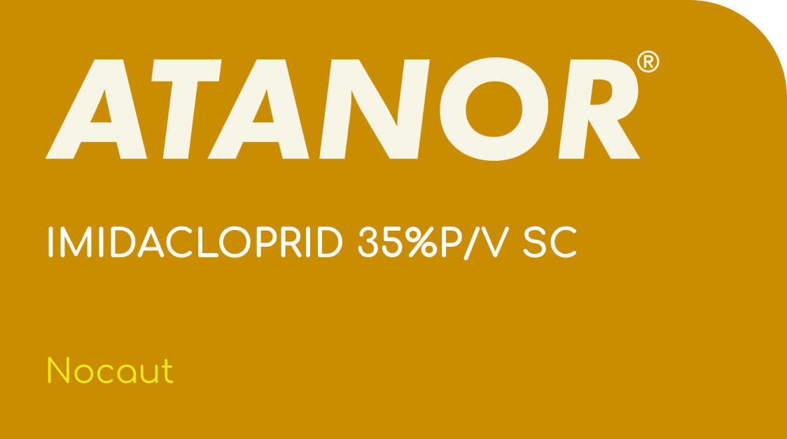 ATANOR  |  IMIDACLOPRID 35%P/V SC  |  (Nocaut)