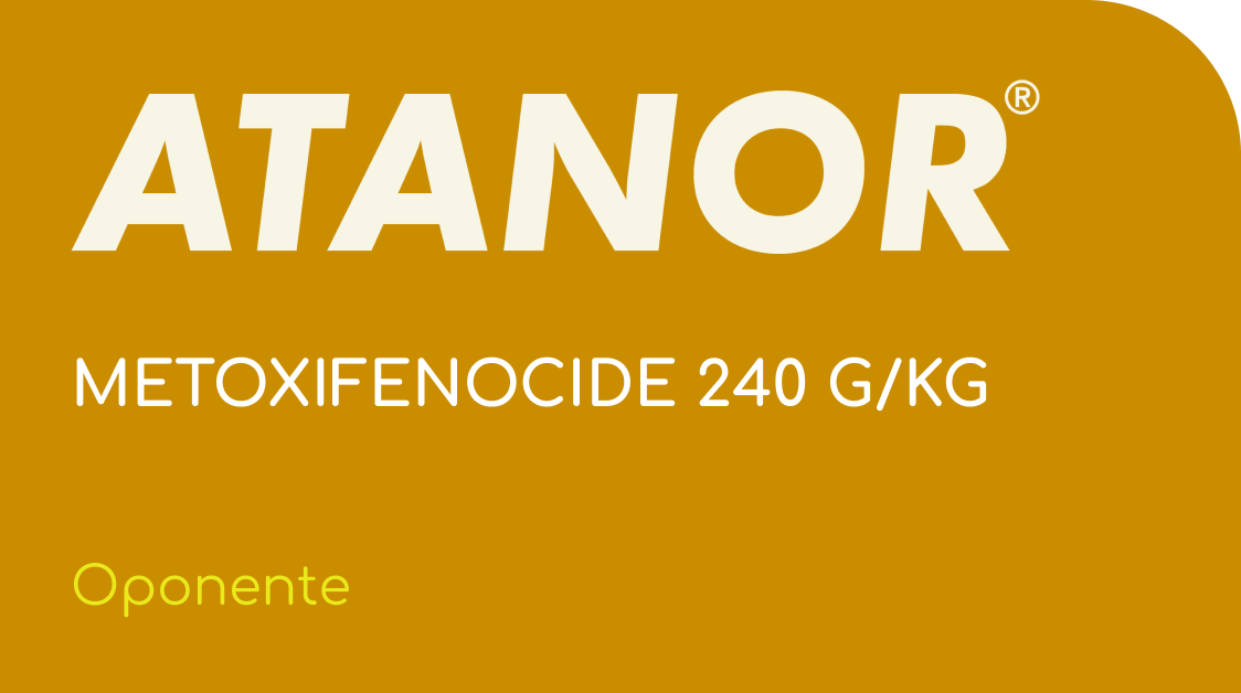 ATANOR  |  METOXIFENOCIDE 240 G/KG  |  (Oponente)