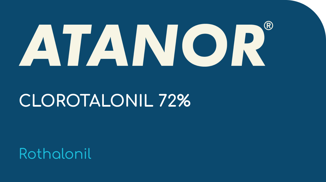 ATANOR  |  CLOROTALONIL 72%  |  (Rothalonil)