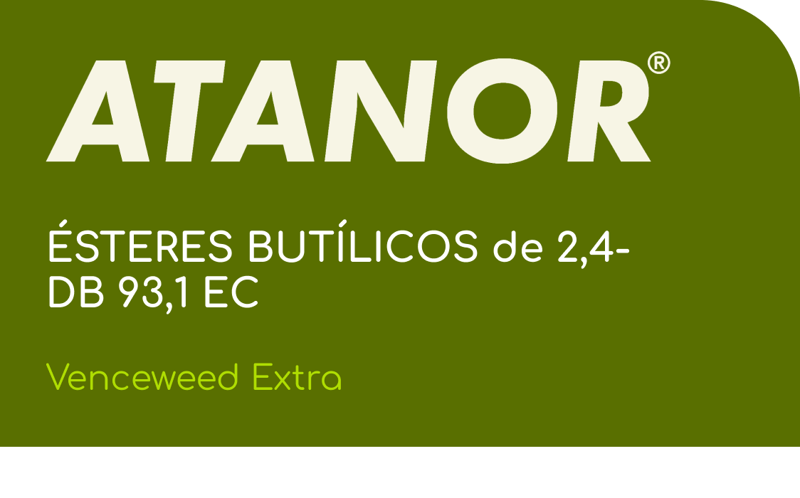 ATANOR  |  ÉSTERES BUTÍLICOS de 2,4-DB 93,1 EC   |  (Venceweed Extra)