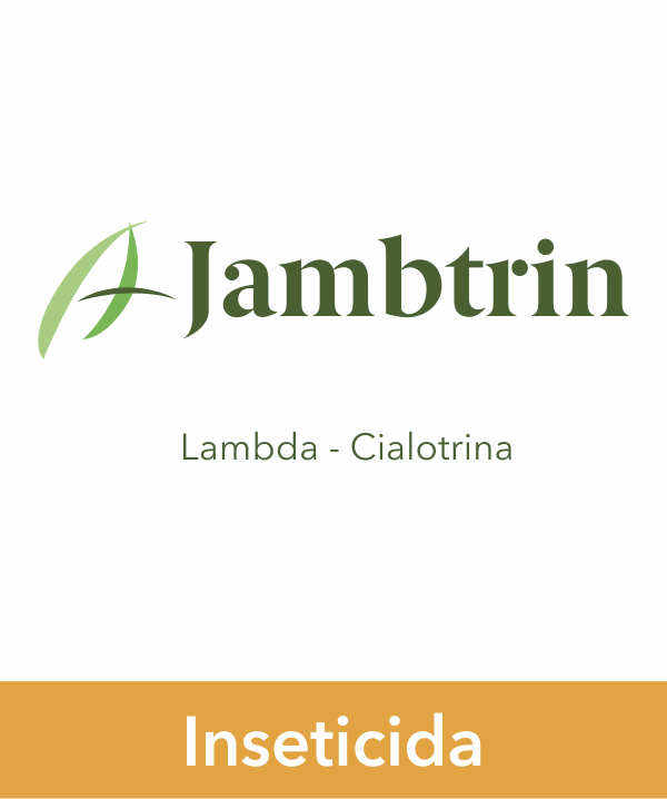 Jambtrin