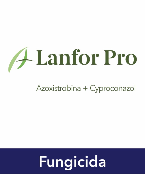 Lanfor Pro