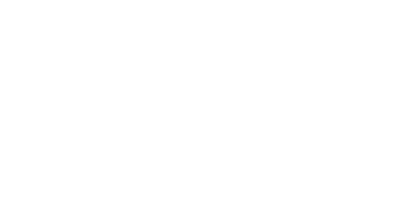 2,4 Amina