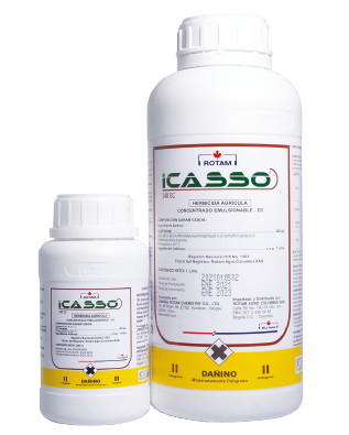 ICASSO® 240 EC
