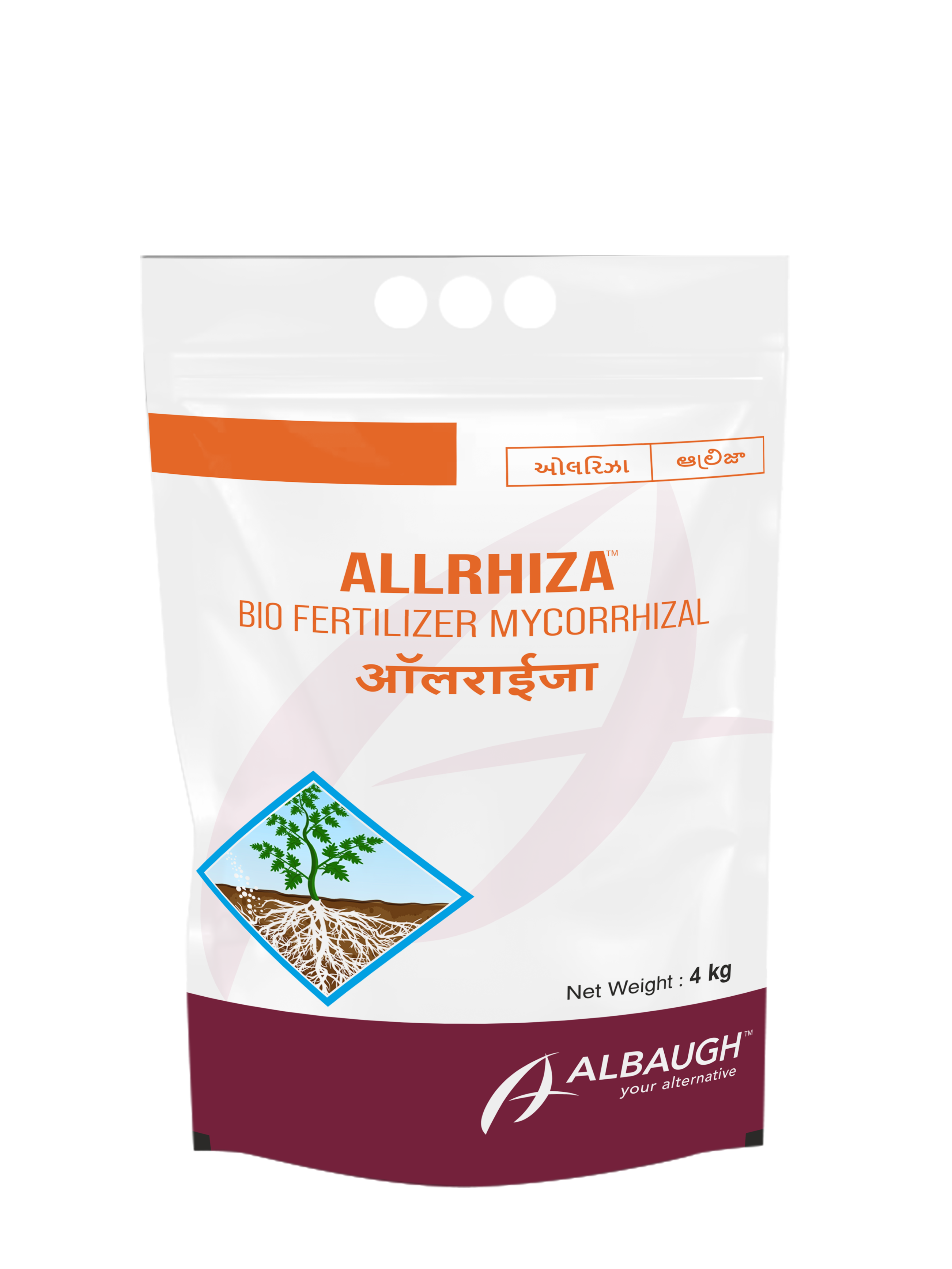 Allrhiza: Mycorrhiza Gr