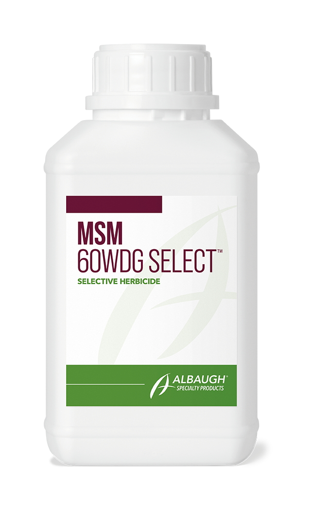 MSM 60WDG Select™